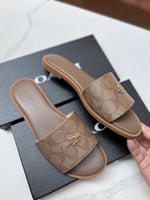 سليبر كوتش بني