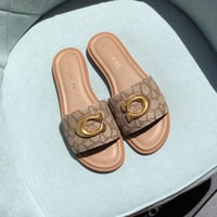 سليبر كوتش بيج