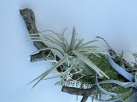 زينه للطاولة بطول ١،٢٠