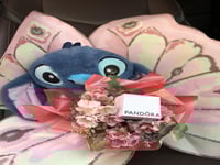 باقة فراشة ستيتش