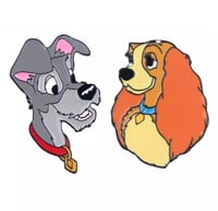 بروش النبيلة و الشارد