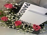 باقة اسوارة او تعليقة باندورا