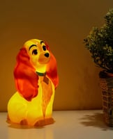 اضاءات النبيله والشارد