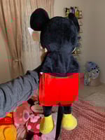 كمادة و دمية ميكي ماوس