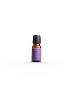 10 ml