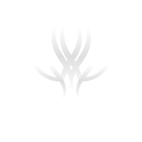 الصدف للعود