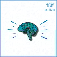 بروش الدماغ