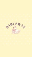 Baby swan