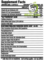 Black Spider بلاك سبايدر