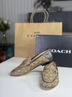 درايفر هيلي من كوتش رسمي سجنشر جاكس HALEY SIG JACQ...