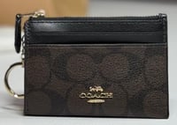 بني سجنتر/اسود