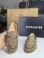 درايفر هيلي من كوتش رسمي سجنشر جاكس HALEY SIG JACQ...