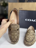 درايفر هيلي من كوتش رسمي سجنشر جاكس HALEY SIG JACQ...