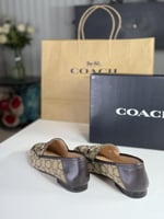 درايفر هيلي من كوتش رسمي سجنشر جاكس HALEY SIG JACQ...