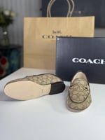 درايفر هيلي من كوتش رسمي سجنشر جاكس HALEY SIG JACQ...