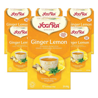 شاي أعشاب عضوي زنجبيل وليمون 17كيس من يوجي تي