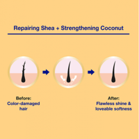 زيت جوز الهند الغني بالخروع والشيا لشعر قوي وكثيف...