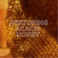 ماسك مرمم شعر بالعسل من غارنييه 340 مل