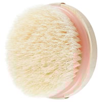 ايكو تولز - فرشاة الجسم للتقشير الجاف