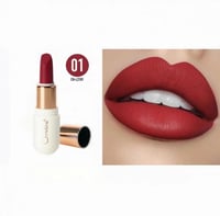 روج ميني مطفي من كرستين - 12 لون