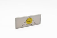 لوحة كانفس وغداً سيزهر صبرك