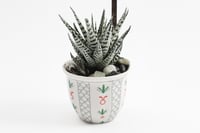 فاصلة الكرم والأصالة