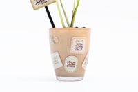 فاصلة نوايا 2026