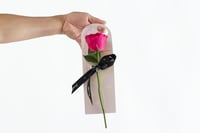 توزيعات زهرة ١٤٤٦