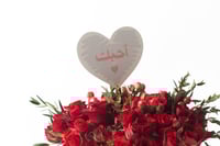 فازة ورد فاصلة نبض الحب