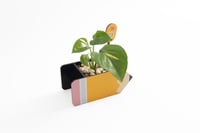 فاصله شكراً لعطائك