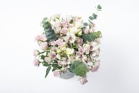 فاصلة بداية مبهجة