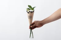 فاصلة الشكر والامتنان