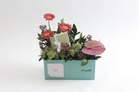 بوكس ورد فاصلة استقبلت البهجة