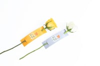 فاصلة اعظم معلم في العالم