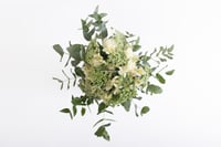 فازة حلوة سنيني