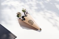 فاصلة البدايات الجديدة