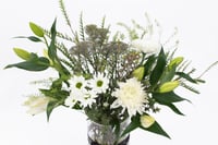 فازة ورد فاصلة حب وسلام