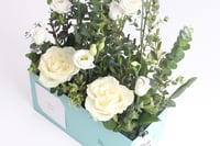 بوكس ورد فاصلة أقبلت بهدوء