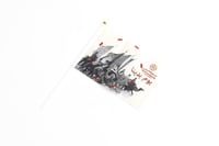 علم يوم بدينا