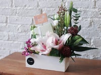 بوكس ورد فاصلة بهجة الحياة