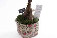 نبتة الحنان