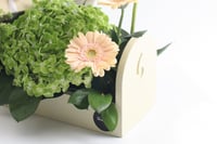 بوكس ورد فاصلة أطير كالفراشات