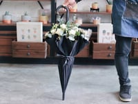 فاصلة مظلة الورد - أبيض