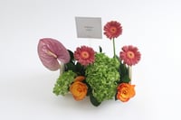 بوكس ورد فاصلة تطمح أكثر