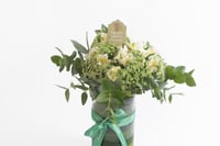 فازة حلوة سنيني