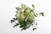 فاصلة منزل عامر بضحكات أهله