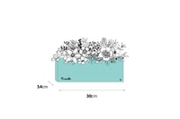 بوكس ورد فاصلة لأجلك - وسط