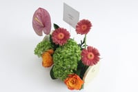 بوكس ورد فاصلة تطمح أكثر