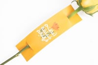 فاصلة اعظم معلمة في العالم