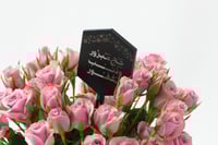 فاصلة مشاعر المشاعر